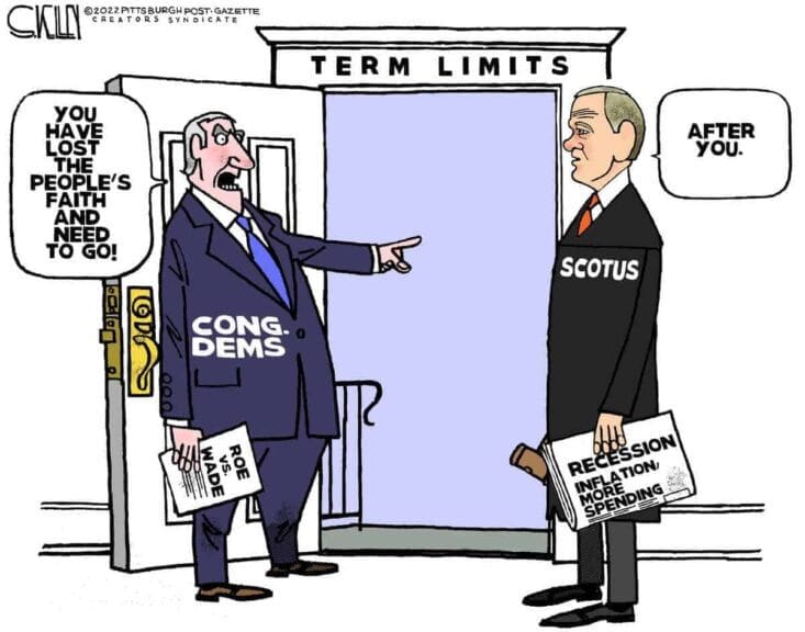 img 8633 Term limits political cartoon