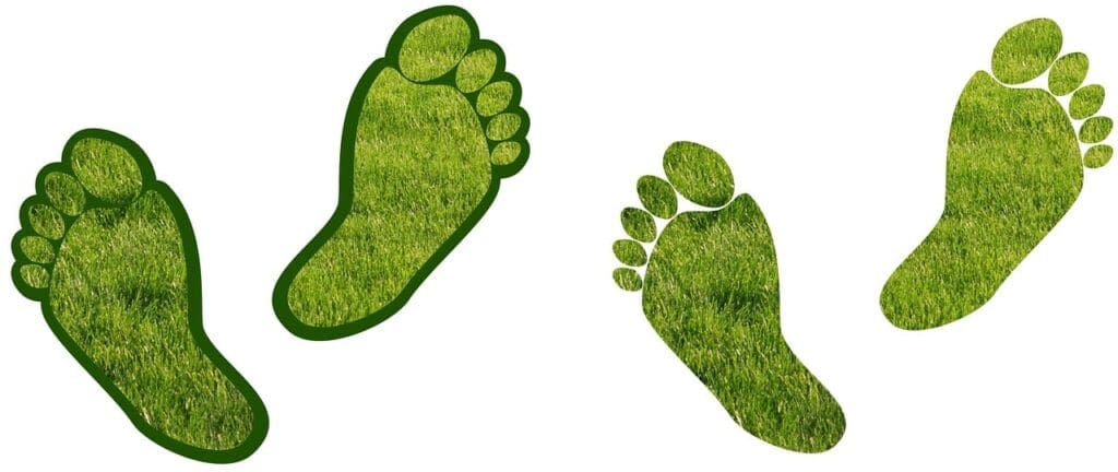 carbon footprint Carbon footprint calculator. Barefoot “footprints” filled with green grass.