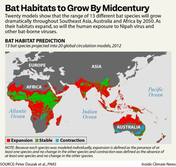 Infographic world map of locations of bat habitats carrying nipah virus
