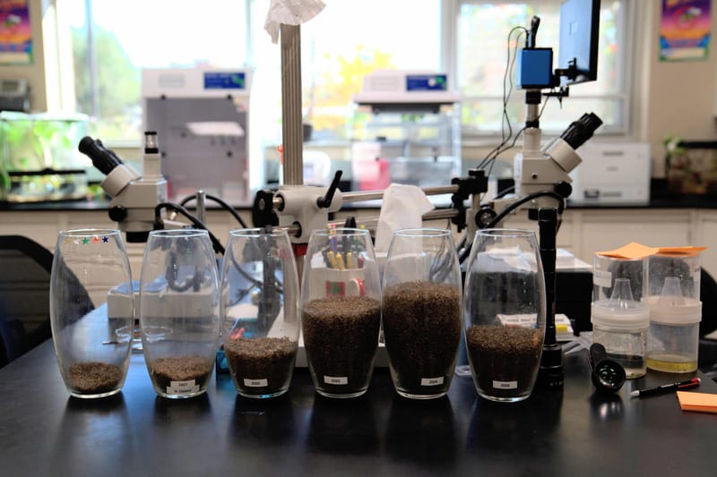 rocky mosquitoes2 Mosquitoes found in the rocky mountains containers of mosquitoes labeled by year