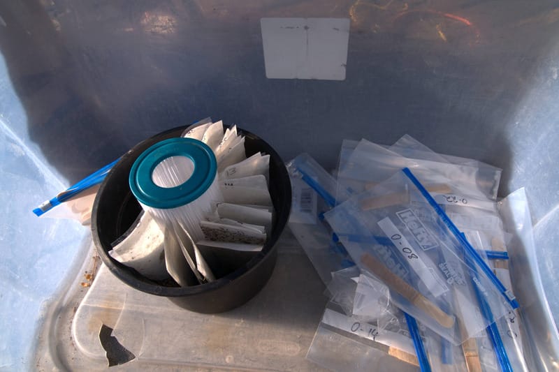 sticky mats Sticky mats with mosquito specimens on them